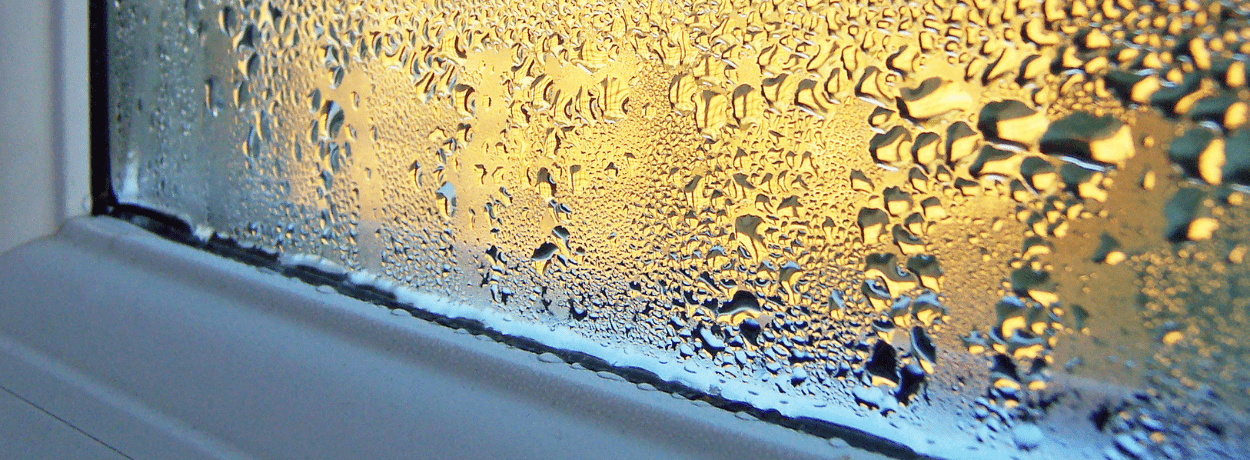 Fix damp issues in your home - photo by HotHibiscus on Getty / Canva