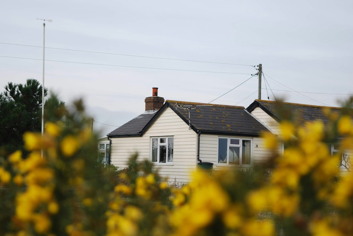 UK home - Photo by Eva Wilcock on Unsplash