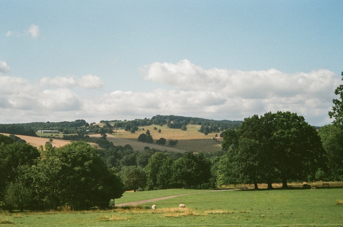 South Yorkshire - Photo by Elena Jiang on Unsplash